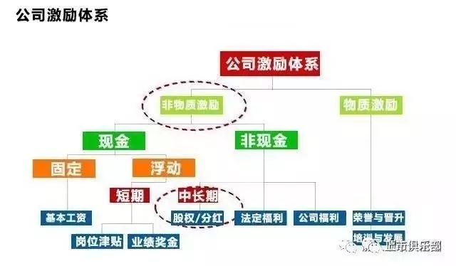 揭秘0029贵宾会，二背后的深层意义与影响