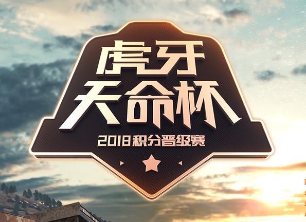赛事覆盖的深度与广度，从五大联赛到次级联赛与杯赛的探索