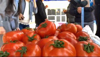 南昌从业者谈蔬菜涨价，从田间到餐桌，这轮行情到底经历了什么？